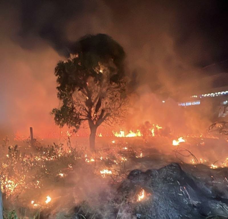 Incêndios ameaçam qualidade do ar em Manaus