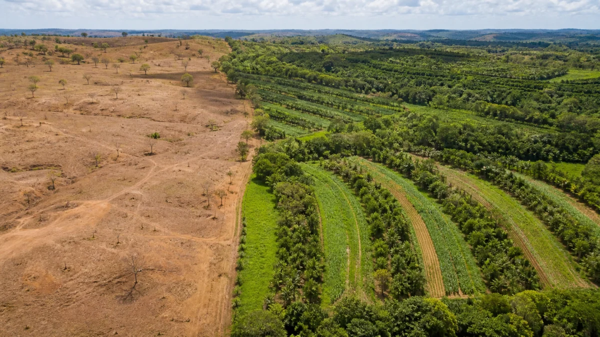Brasil criou política contra desertificação em 2015