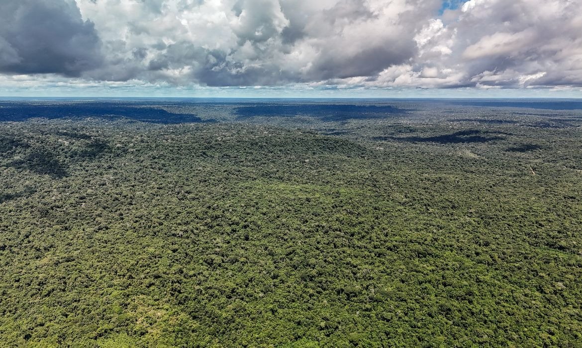 Eco Invest Brasil amplia instrumentos para proteger investimentos cambiais