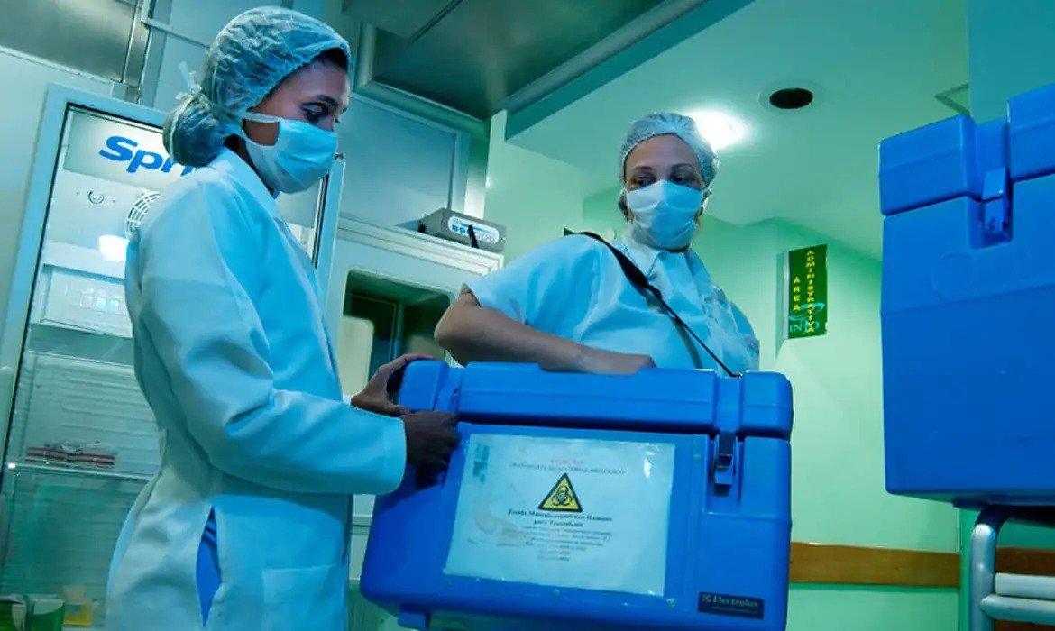 Doação de órgãos: veja como deixar sua decisão registrada