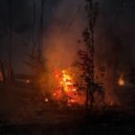Parque das Tribos pede fiscalização após incêndio