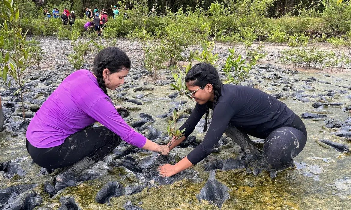 Estudantes podem enviar trabalhos para fórum ambiental até dia 30